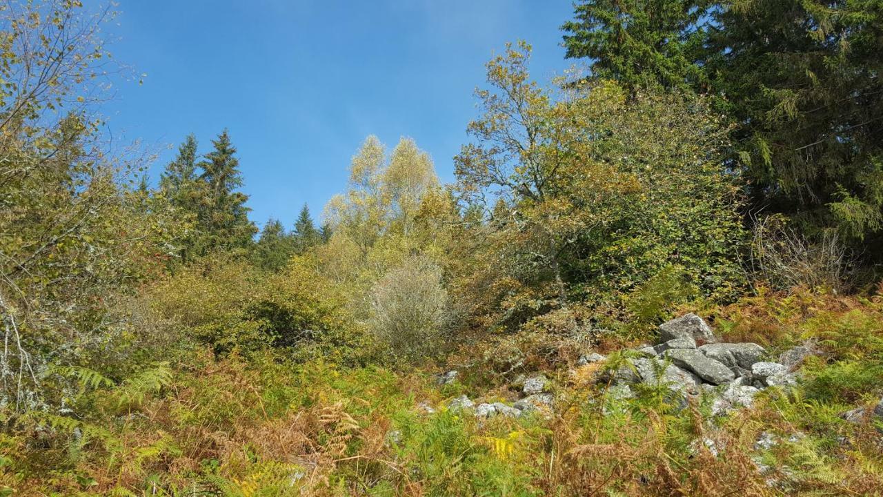 Gite De Sauviat 25 Chemin Du Grand Pacher Le Bourg De Sauviat 63120 Kültér fotó