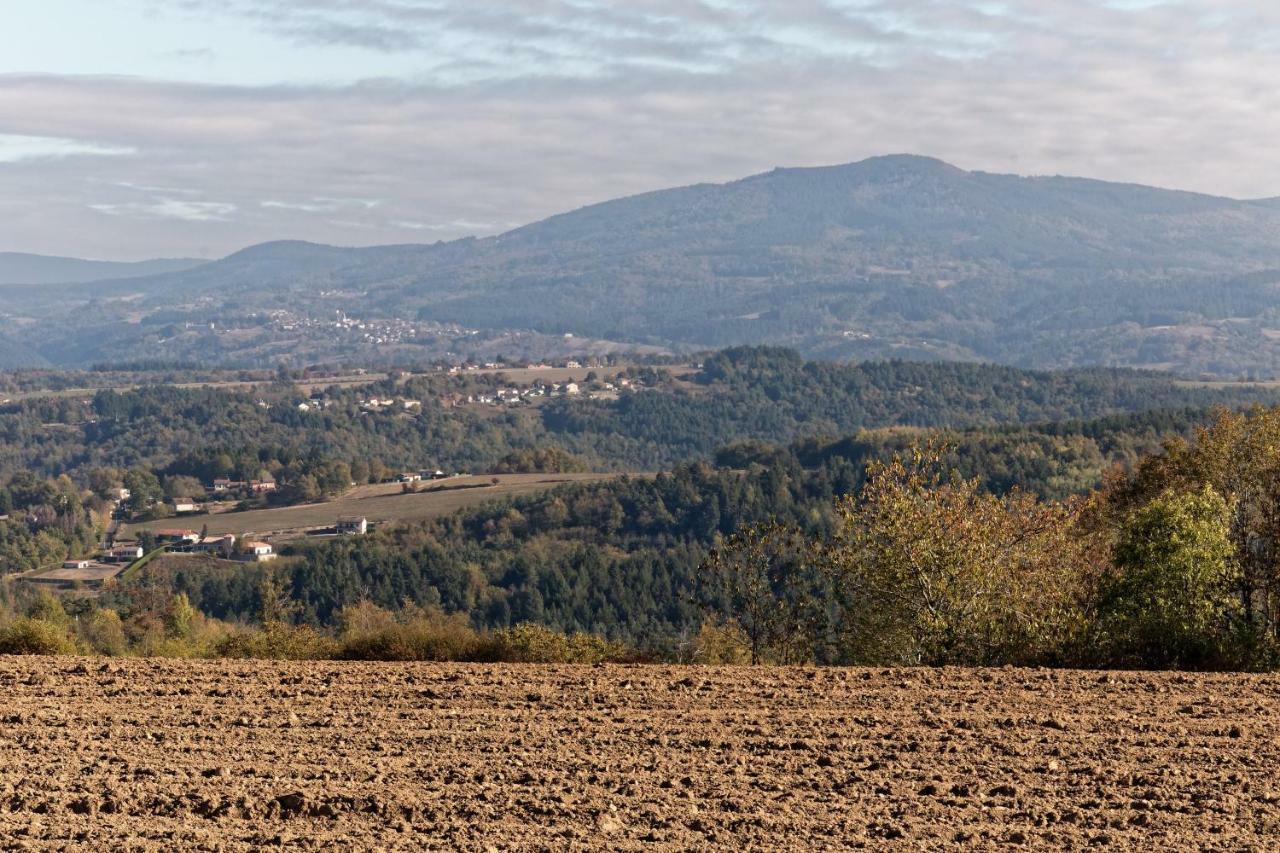 Gite De Sauviat 25 Chemin Du Grand Pacher Le Bourg De Sauviat 63120 Kültér fotó