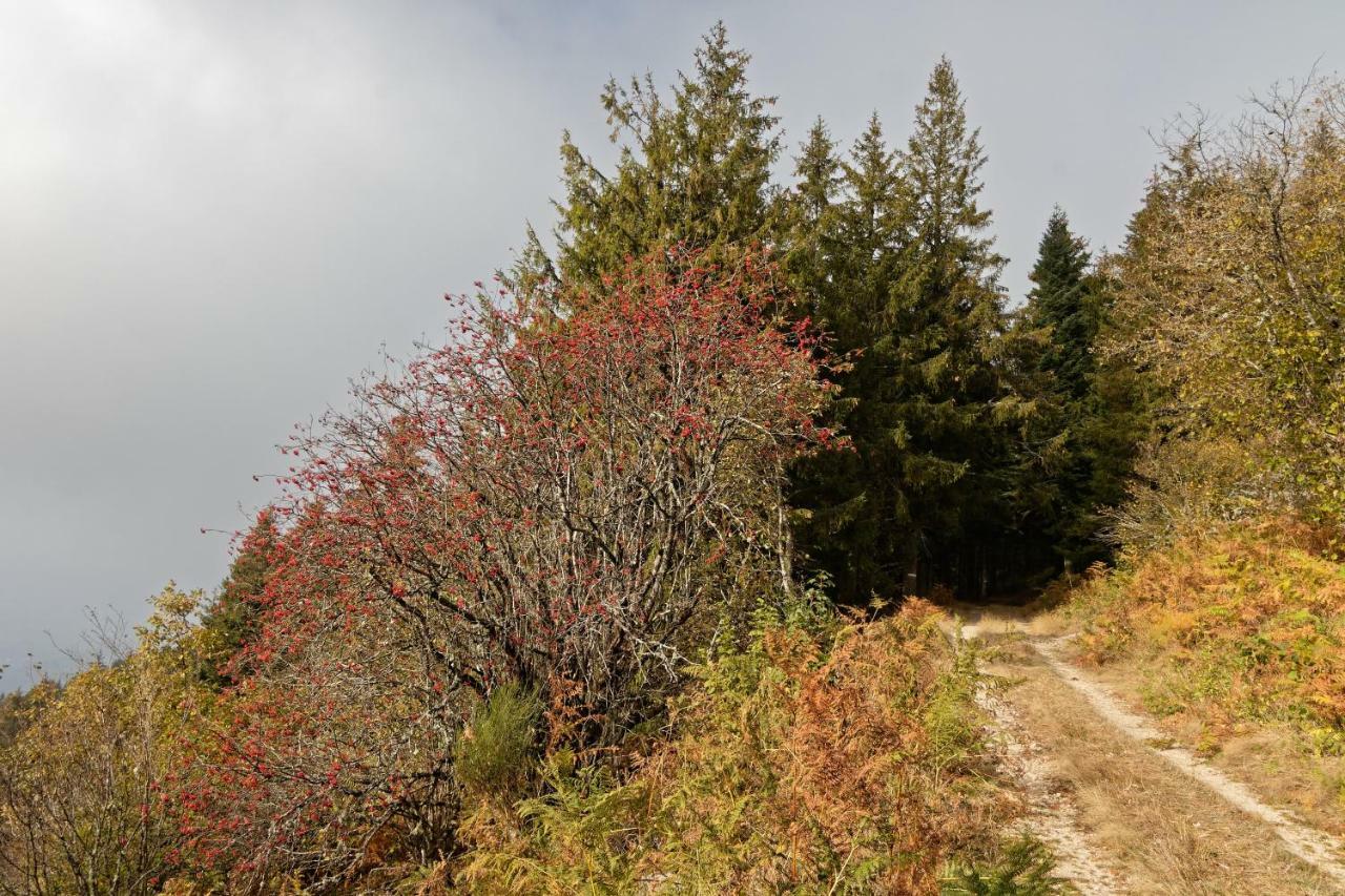 Gite De Sauviat 25 Chemin Du Grand Pacher Le Bourg De Sauviat 63120 Kültér fotó